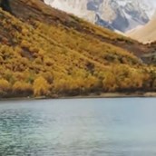 Psychic MoonRocketPADO NOT Connect x4322