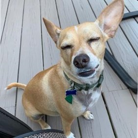 Psychic QA DO NOT CONNECT x9400