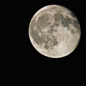 Psychic Angela x9978