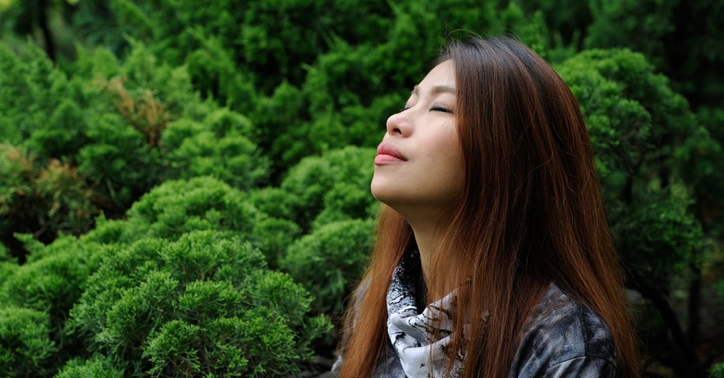 Spring calls us to renew our souls as it renews our world.