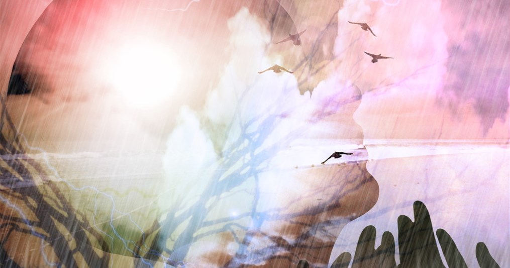 You may experience your guides in the form of light or animals.