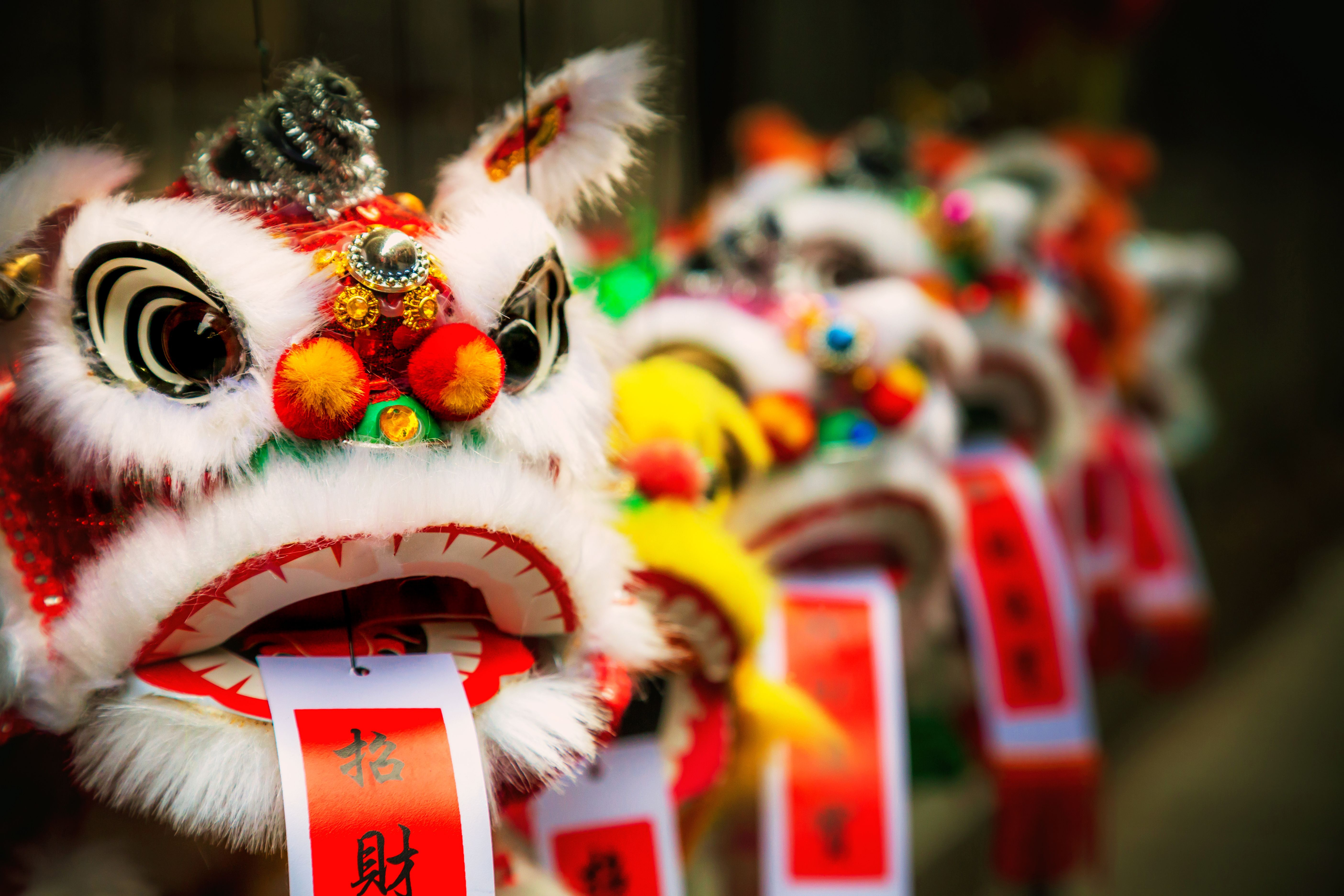 chinese new year parade dragon