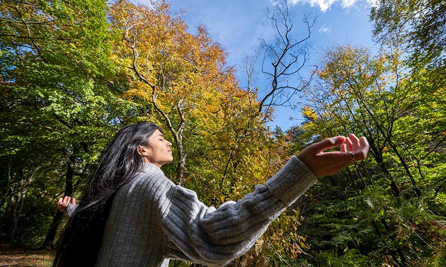 Tap into the energy of the season!